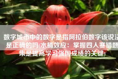 数字城市中的数字是指阿拉伯数字该说法是正确的吗(水桶效应：掌握四人赛错题集是提高学习强国成绩的关键)