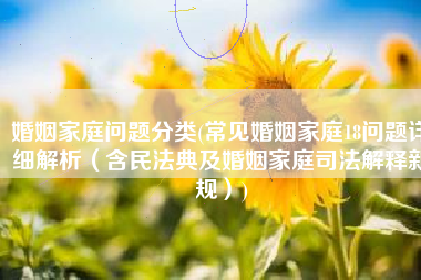 婚姻家庭问题分类(常见婚姻家庭18问题详细解析（含民法典及婚姻家庭司法解释新规）)