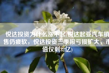 悦达投资为什么涨不起(悦达起亚汽车销售仍疲软，悦达投资三季报亏损扩大，市值仅剩32亿)