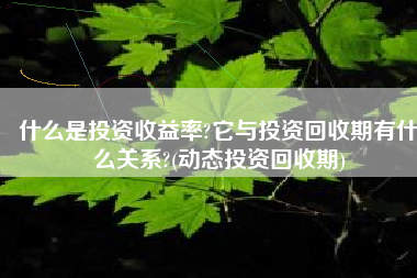 什么是投资收益率?它与投资回收期有什么关系?(动态投资回收期)