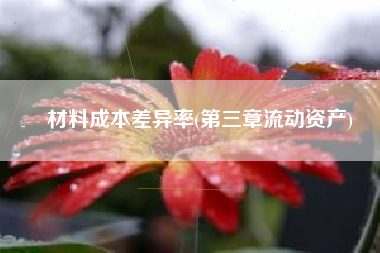 材料成本差异率(第三章流动资产)