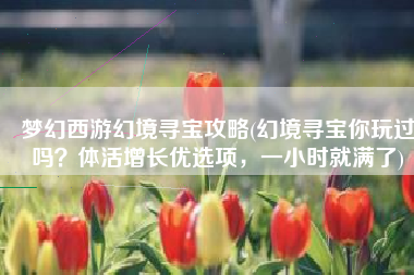 梦幻西游幻境寻宝攻略(幻境寻宝你玩过吗？体活增长优选项，一小时就满了)