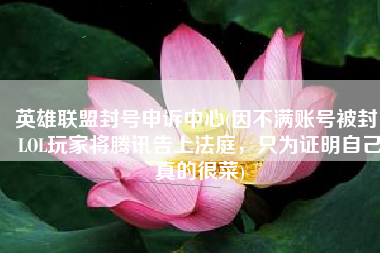 英雄联盟封号申诉中心(因不满账号被封，LOL玩家将腾讯告上法庭，只为证明自己真的很菜)