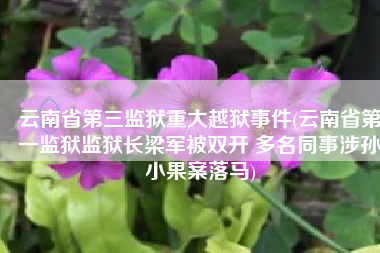 云南省第三监狱重大越狱事件(云南省第一监狱监狱长梁军被双开 多名同事涉孙小果案落马)
