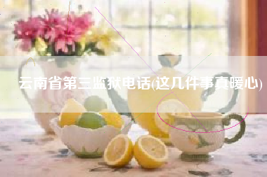 云南省第三监狱电话(这几件事真暖心)