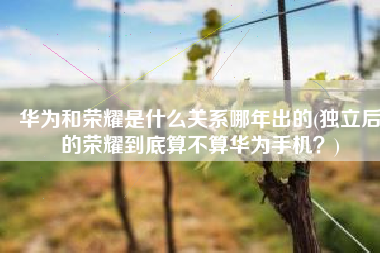华为和荣耀是什么关系哪年出的(独立后的荣耀到底算不算华为手机？)