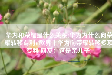 华为和荣耀是什么关系(华为为什么向荣耀转移专利)(欧界丨华为向荣耀转移多项专利 网友：这是亲儿子)