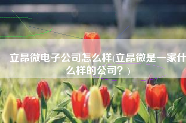 立昂微电子公司怎么样(立昂微是一家什么样的公司？)