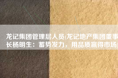 龙记集团管理层人员(龙记地产集团董事长杨明生：蓄势发力，用品质赢得市场)