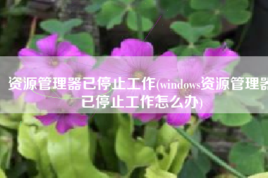 资源管理器已停止工作(windows资源管理器已停止工作怎么办)