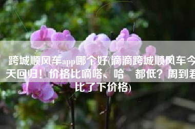 跨城顺风车app哪个好(滴滴跨城顺风车今天回归！价格比嘀嗒、哈啰都低？周到君比了下价格)