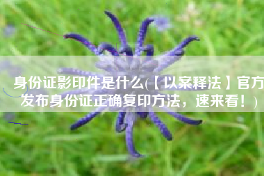身份证影印件是什么(【以案释法】官方发布身份证正确复印方法，速来看！)
