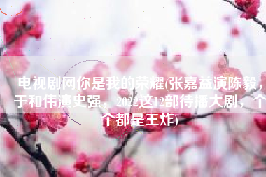 电视剧网你是我的荣耀(张嘉益演陈毅，于和伟演史强，2022这12部待播大剧，个个都是王炸)