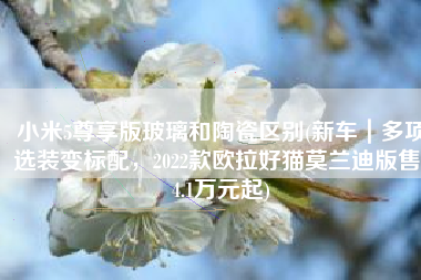 小米5尊享版玻璃和陶瓷区别(新车｜多项选装变标配，2022款欧拉好猫莫兰迪版售14.1万元起)