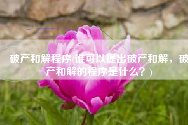 破产和解程序(谁可以提出破产和解，破产和解的程序是什么？)