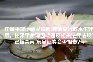 任泽平微博新浪微博(喊话央行放水生娃后，任泽平微博因“违反相关法律法规”已被禁言 东吴证券会否担责？)