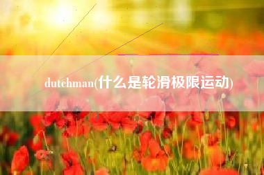 dutchman(什么是轮滑极限运动)