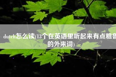 dutch怎么读(13个在英语里听起来有点粗鲁的外来词)