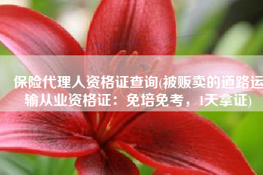 保险代理人资格证查询(被贩卖的道路运输从业资格证：免培免考，1天拿证)