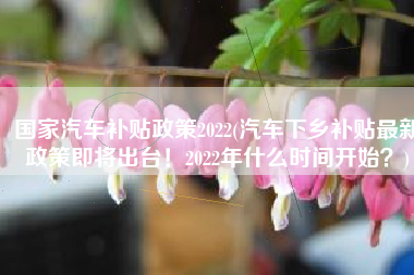国家汽车补贴政策2022(汽车下乡补贴最新政策即将出台！2022年什么时间开始？)