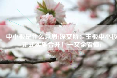 中小板是什么意思(深交所：主板中小板正式实施合并！一文全看懂)