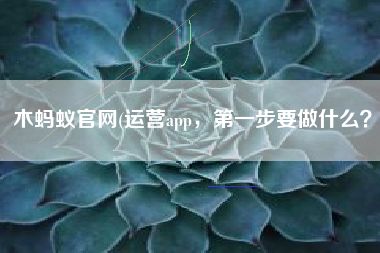 木蚂蚁官网(运营app，第一步要做什么？)