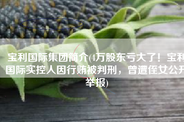 宝利国际集团简介(4万股东亏大了！宝利国际实控人因行贿被判刑，曾遭侄女公开举报)