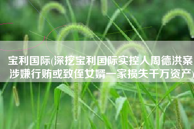 宝利国际(深挖宝利国际实控人周德洪案：涉嫌行贿或致侄女婿一家损失千万资产)