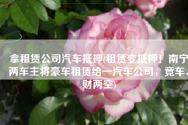 拿租赁公司汽车抵押(租赁变抵押！南宁两车主将豪车租赁给一汽车公司，竟车、财两空)