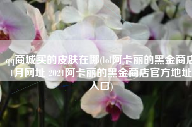 qq商城买的皮肤在哪(lol阿卡丽的黑金商店1月网址 2021阿卡丽的黑金商店官方地址入口)