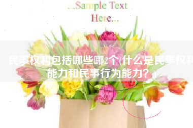 民事权利包括哪些哪2个(什么是民事权利能力和民事行为能力？)