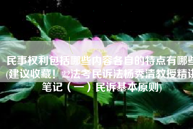民事权利包括哪些内容各自的特点有哪些(建议收藏！22法考民诉法杨秀清教授精讲笔记（一）民诉基本原则)