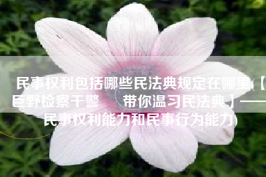 民事权利包括哪些民法典规定在哪里(【巨野检察干警 • 带你温习民法典】——民事权利能力和民事行为能力)