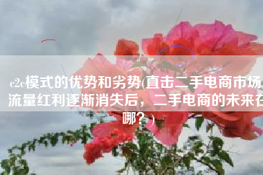 c2c模式的优势和劣势(直击二手电商市场：流量红利逐渐消失后，二手电商的未来在哪？)