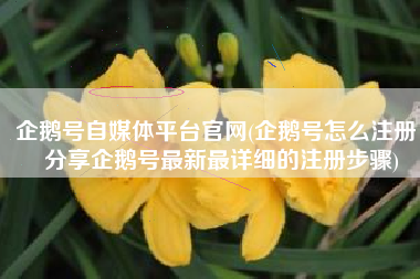 企鹅号自媒体平台官网(企鹅号怎么注册，分享企鹅号最新最详细的注册步骤)