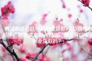 有贷款还可以申请创业贷款吗(公司刚刚起步，前期成本投入过大，现在可以申请创业贷款吗？)