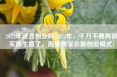 2022年适合创业吗(2022年，千万不要再做实体生意了，而是要学会新创业模式)