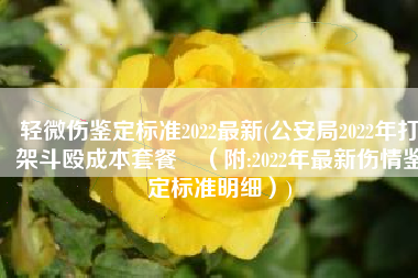 轻微伤鉴定标准2022最新(公安局2022年打架斗殴成本套餐​（附:2022年最新伤情鉴定标准明细）)