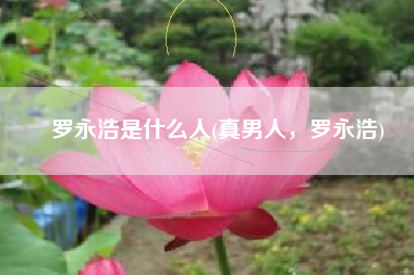 罗永浩是什么人(真男人，罗永浩)