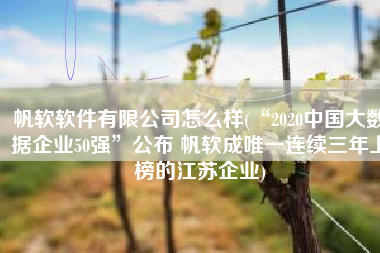帆软软件有限公司怎么样(“2020中国大数据企业50强”公布 帆软成唯一连续三年上榜的江苏企业)