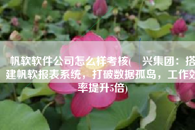 帆软软件公司怎么样考核(昇兴集团：搭建帆软报表系统，打破数据孤岛，工作效率提升5倍)