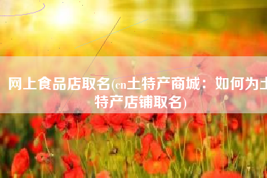 网上食品店取名(cn土特产商城：如何为土特产店铺取名)