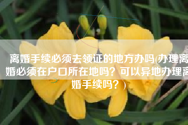 离婚手续必须去领证的地方办吗(办理离婚必须在户口所在地吗？可以异地办理离婚手续吗？)