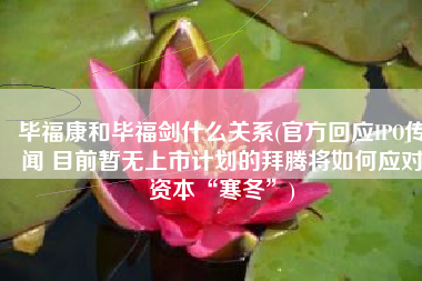 毕福康和毕福剑什么关系(官方回应IPO传闻 目前暂无上市计划的拜腾将如何应对资本“寒冬”)