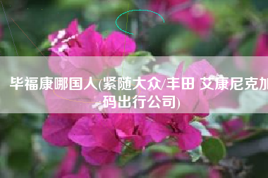 毕福康哪国人(紧随大众/丰田 艾康尼克加码出行公司)