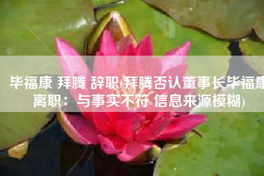 毕福康 拜腾 辞职(拜腾否认董事长毕福康离职：与事实不符 信息来源模糊)