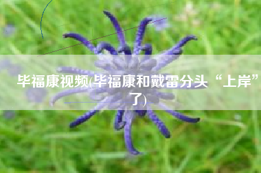 毕福康视频(毕福康和戴雷分头“上岸”了)