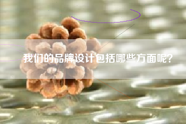 我们的品牌设计包括哪些方面呢？