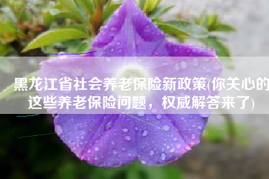 黑龙江省社会养老保险新政策(你关心的这些养老保险问题，权威解答来了)