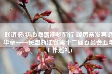 联谊报(初心激荡逐梦前行 踔厉奋发再谱华章——民盟浙江省第十二届委员会五年工作巡礼)